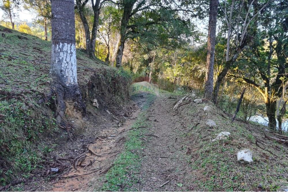 Chácara / Sítio / Fazenda - Venda - Mandirituba , Paraná - 3d482ded-6c87-4c41-998c-58652e3b8798.jpeg - 560391051-7