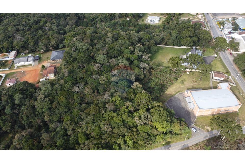 Terreno - Venda - São José dos Pinhais , Paraná - 9 - 560341114-47