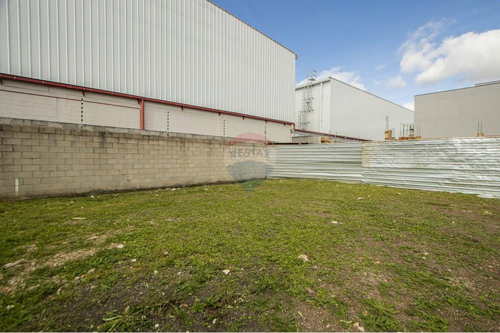 Terreno - Venda - São José dos Pinhais , Paraná - IMG_0274.jpg - 560411070-66