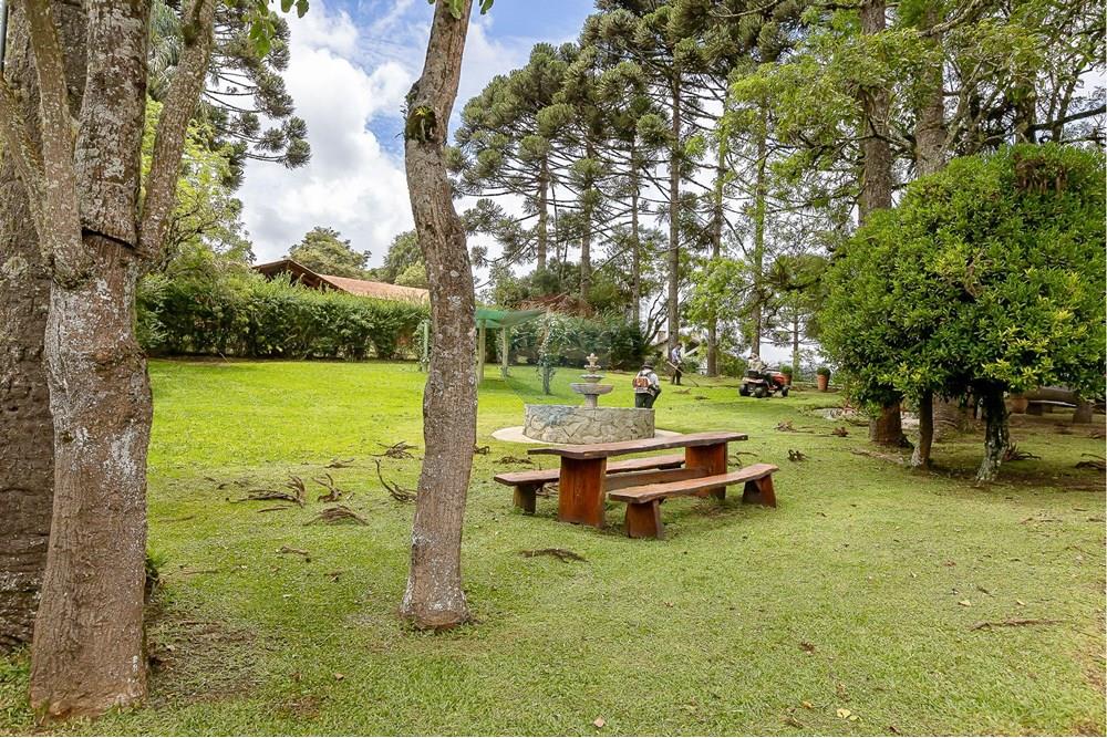 Casa de Condomínio - Venda - Piraquara , Paraná - IMG_8664.JPG - 560371031-29