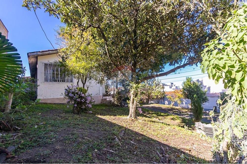 Terreno - Venda - Curitiba , Paraná - IMG_8035.jpg - 560441037-6