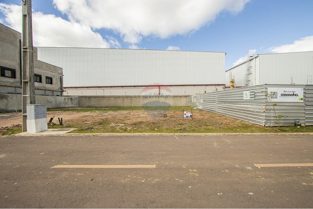 Terreno - Venda - São José dos Pinhais , Paraná - IMG_0268.jpg - 560411070-66