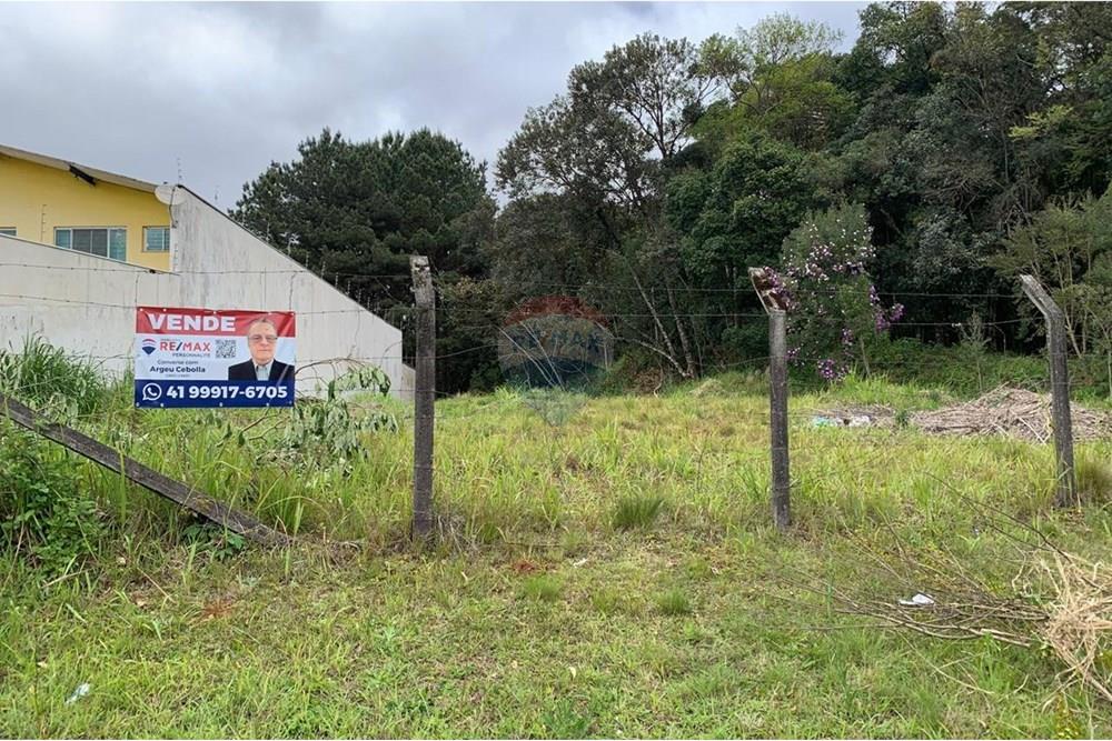 Terreno - Venda - Curitiba , Paraná - 2.jpg - 560461019-13