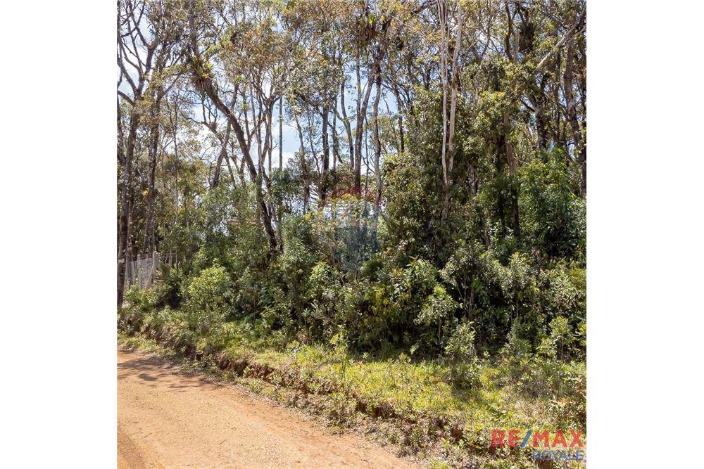 Terreno - Venda - São José dos Pinhais , Paraná - 19 - 560251029-43
