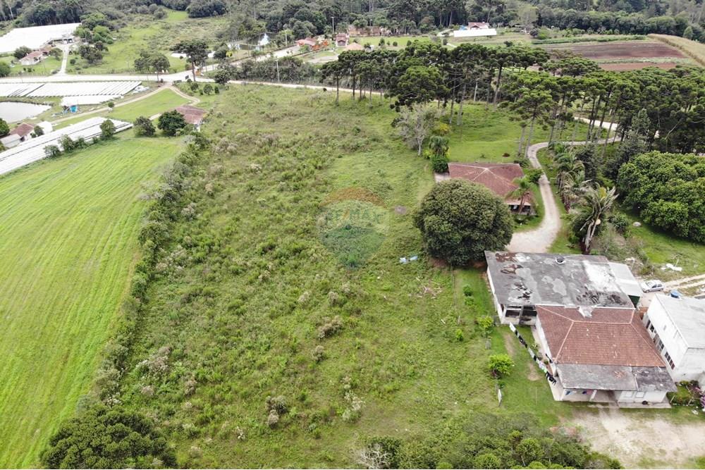 Terreno - Venda - São José dos Pinhais , Paraná - DJI_0646.JPG - 560351069-39