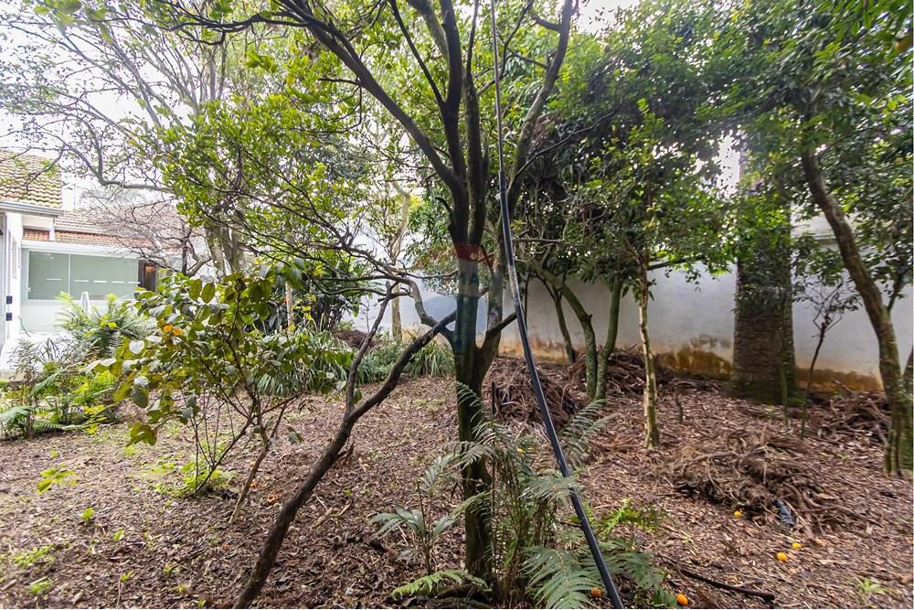 Terreno - Venda - Curitiba , Paraná - IMG_2225.jpg - 560311047-485