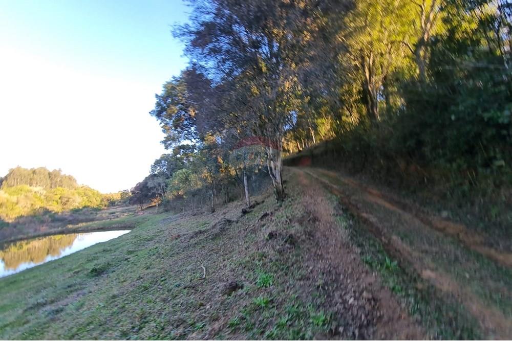 Chácara / Sítio / Fazenda - Venda - Mandirituba , Paraná - 7d9925e2-75fe-4c83-9cb2-224c2bec4cd2.jpeg - 560391051-7