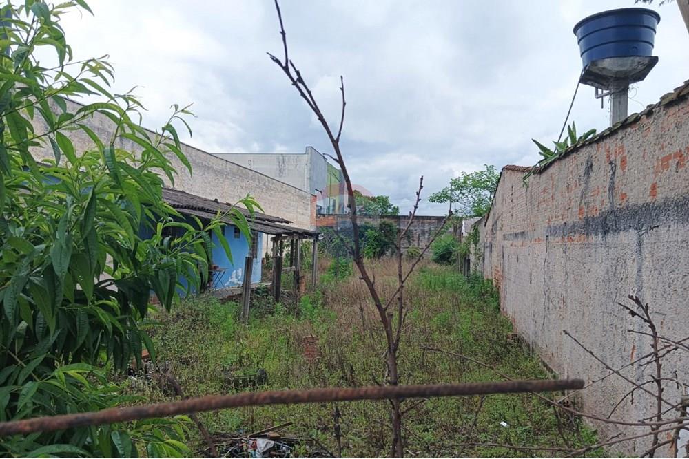 Terreno - Venda - Pinhais , Paraná - Imagem do WhatsApp de 2025-10-27 à(s) 20.56.27_170cd49b.jpg - 560391110-6
