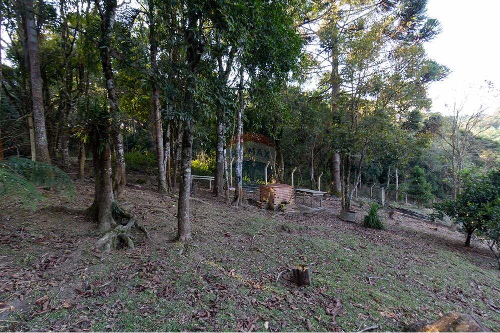Chácara / Sítio / Fazenda - Venda - Mandirituba , Paraná - IMG_1341.jpg - 560341112-24
