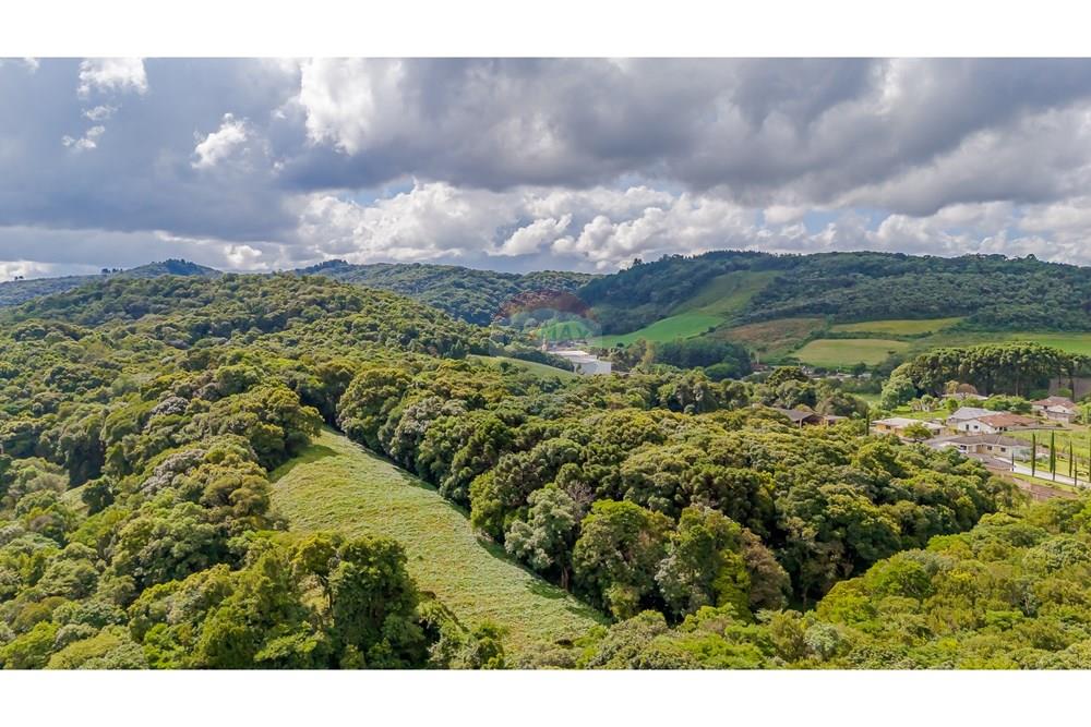 Terreno - Venda - Colombo , Paraná - DJI_20250317150614_0155_D.jpg - 560391062-11