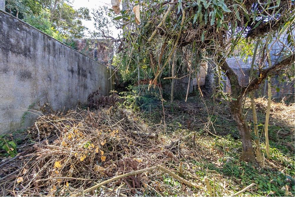 Terreno - Venda - Curitiba , Paraná - IMG_7322.jpg - 560341040-20