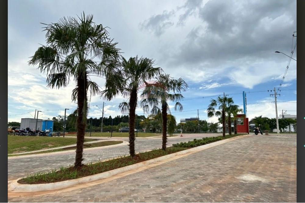 Terreno - Venda - Ponta Grossa , Paraná - IMG-20250918-WA0017.jpg - 560391055-21