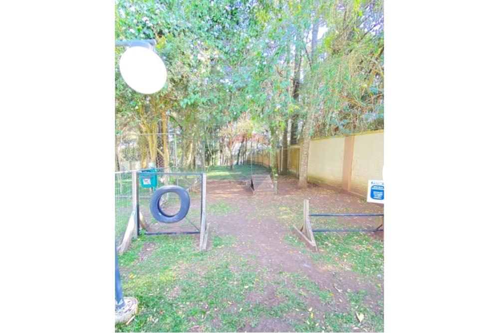 Apartamento - Venda - São José dos Pinhais , Paraná - IMG_5836.jpeg - 560481004-20