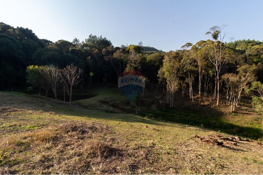 Chácara / Sítio / Fazenda - Venda - Mandirituba , Paraná - IMG_1365.jpg - 560341112-24
