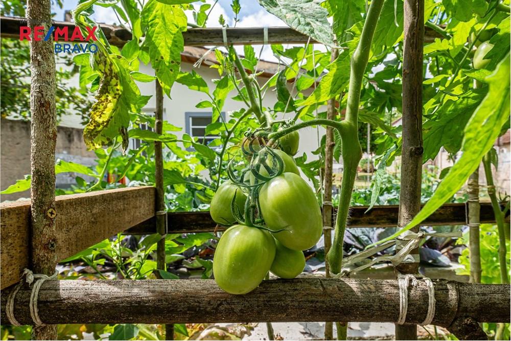 Casa Comercial - Venda - Curitiba , Paraná - _DSC5792.jpg - 560371015-49