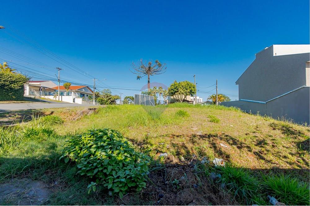 Terreno - Venda - Curitiba , Paraná - IMG_8517.jpg - 560351131-6