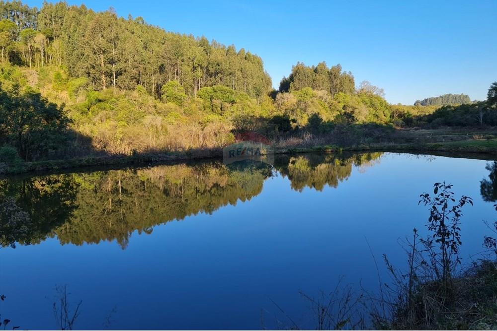 Chácara / Sítio / Fazenda - Venda - Mandirituba , Paraná - f41d07d1-900e-40e2-9751-968ee9ef08a6.jpeg - 560391051-7
