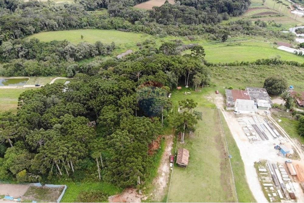 Terreno - Venda - São José dos Pinhais , Paraná - WhatsApp Image 2025-03-22 at 22.01.46 (7).jpeg - 560351069-39