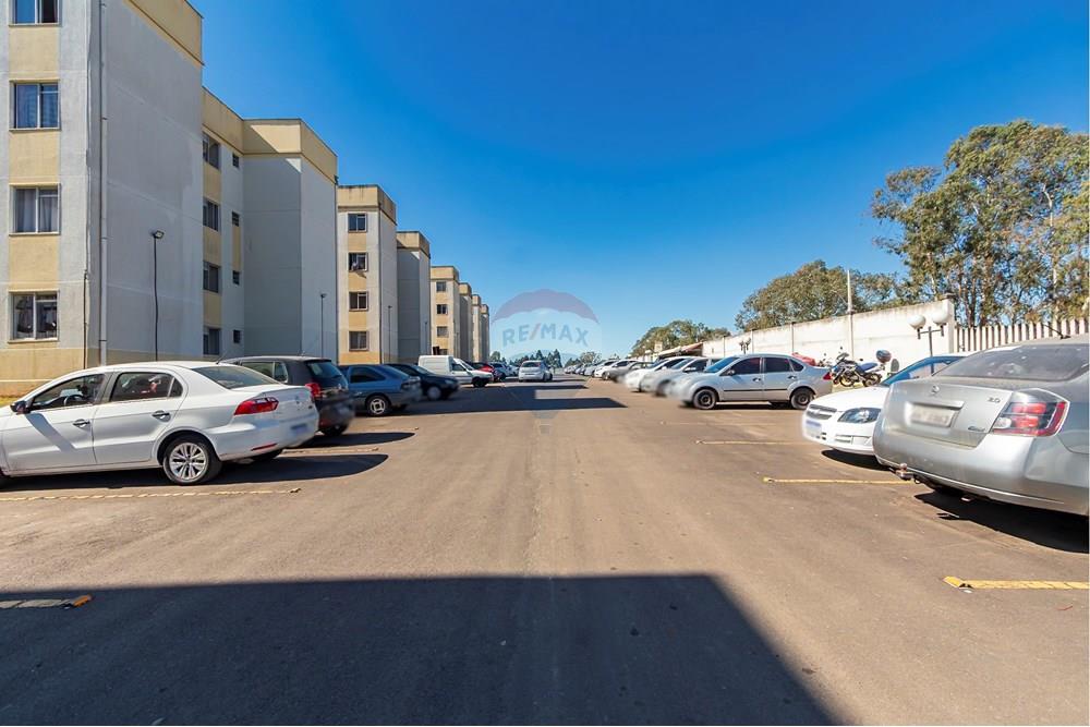 Apartamento - Venda - Curitiba , Paraná - IMG_6567_1.jpg - 560301017-87