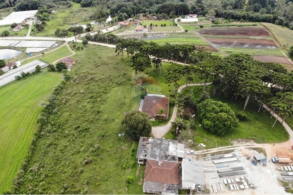 Terreno - Venda - São José dos Pinhais , Paraná - WhatsApp Image 2025-03-22 at 22.01.46 (9).jpeg - 560351069-39