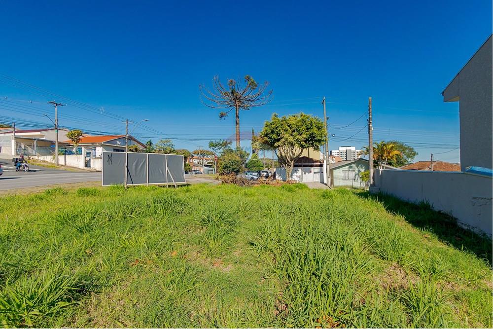 Terreno - Venda - Curitiba , Paraná - IMG_8540.jpg - 560351131-6