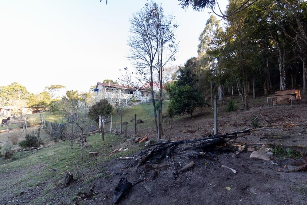 Chácara / Sítio / Fazenda - Venda - Mandirituba , Paraná - IMG_1351.jpg - 560341112-24