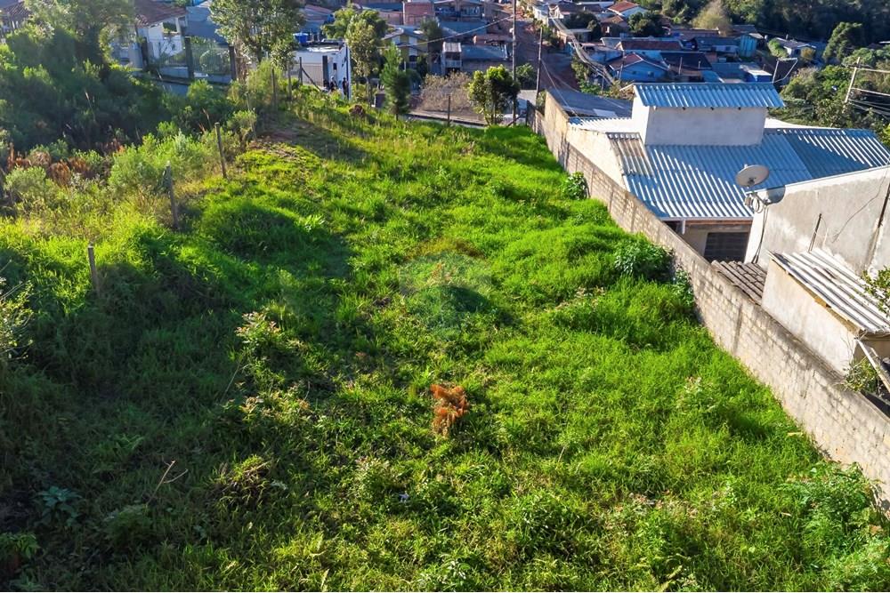 Terreno - Venda - Campo Largo , Paraná - DJI_0759_1.jpg - 560411008-81