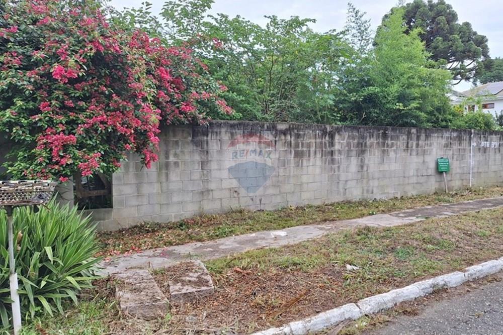 Terreno - Venda - Curitiba , Paraná - WhatsApp Image 2025-04-03 at 09.54.57 (1).jpeg - 560301057-6