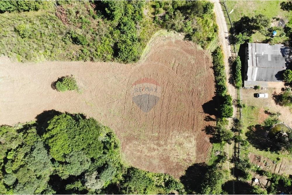 Chácara / Sítio / Fazenda - Venda - Campo Magro , Paraná - WhatsApp Image 2025-04-09 at 19.11.22.jpeg - 560351106-18