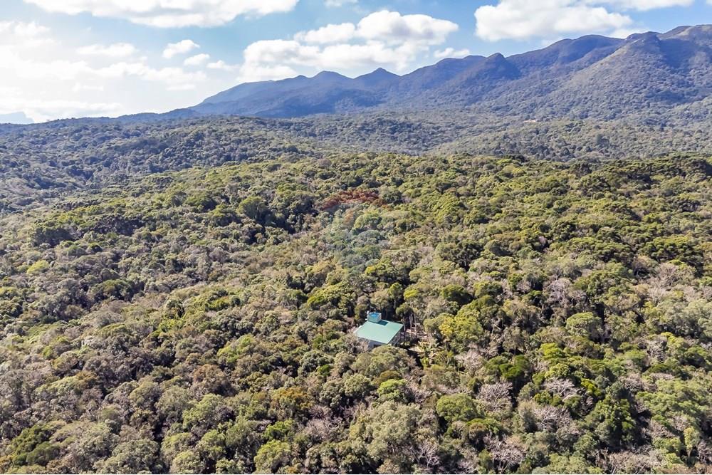 Chácara / Sítio / Fazenda - Venda - Piraquara , Paraná - DJI_0511_1.jpg - 560431012-39