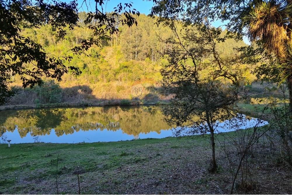 Chácara / Sítio / Fazenda - Venda - Mandirituba , Paraná - 41dad77c-8ee1-4782-b5b8-1b34b38aa16b.jpeg - 560391051-7