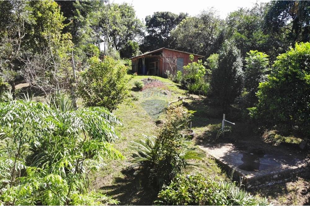 Chácara / Sítio / Fazenda - Venda - Campo Magro , Paraná - WhatsApp Image 2025-04-09 at 19.11.20 (1).jpeg - 560351106-18