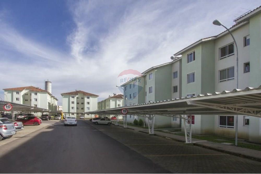 Apartamento - Venda - São José dos Pinhais , Paraná - 00000214.jpg - 560481007-8