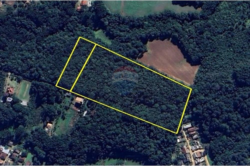 Terreno - Venda - Campo Largo , Paraná - FOTO TERRENO MIGUEL 1.jpeg - 560461009-53