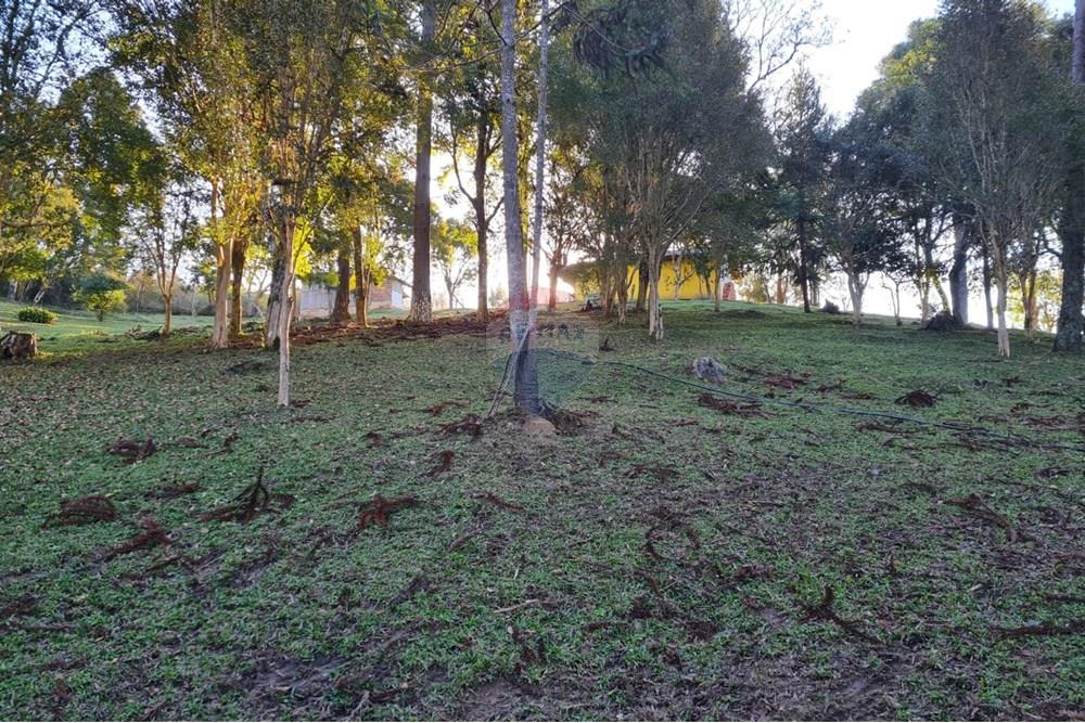 Chácara / Sítio / Fazenda - Venda - Mandirituba , Paraná - 1e8190b9-44c9-4e40-8ba9-76b1643c34bb.jpeg - 560391051-7