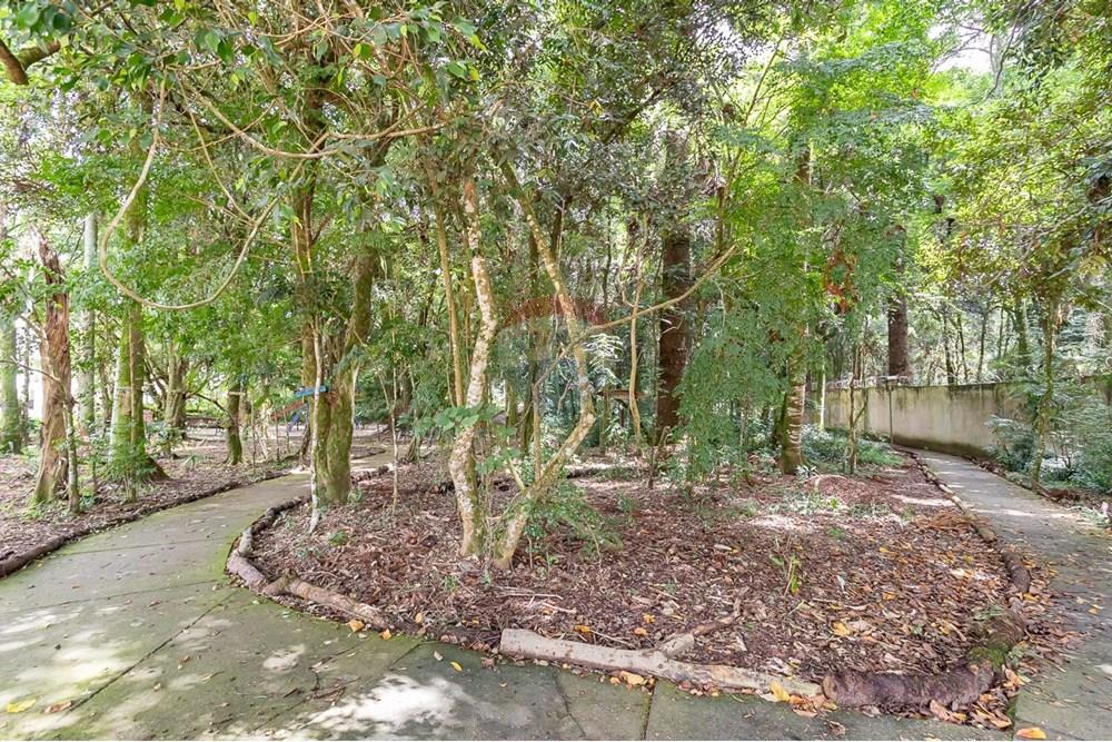 Apartamento - Alugar - Curitiba , Paraná - WhatsApp Image 2025-08-01 at 12.26.36 (2).jpeg - 560441028-4