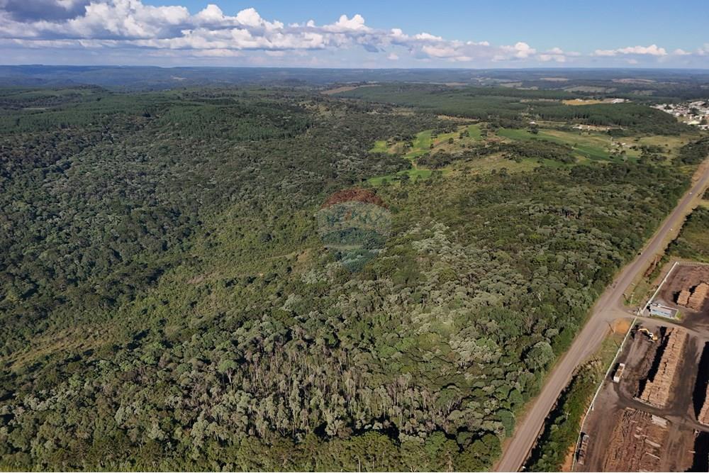 Terreno - Venda - Calmon , Santa Catarina - Vista lateral frontal.JPG - 560351109-12