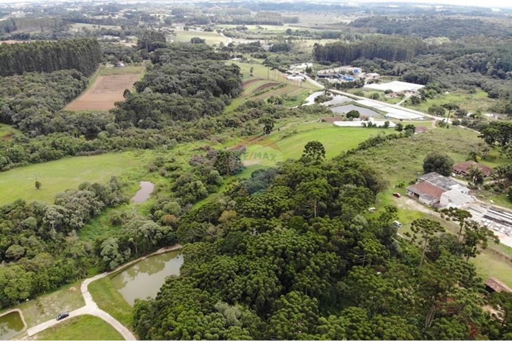 Terreno - Venda - São José dos Pinhais , Paraná - WhatsApp Image 2025-03-22 at 22.01.46 (6).jpeg - 560351069-39