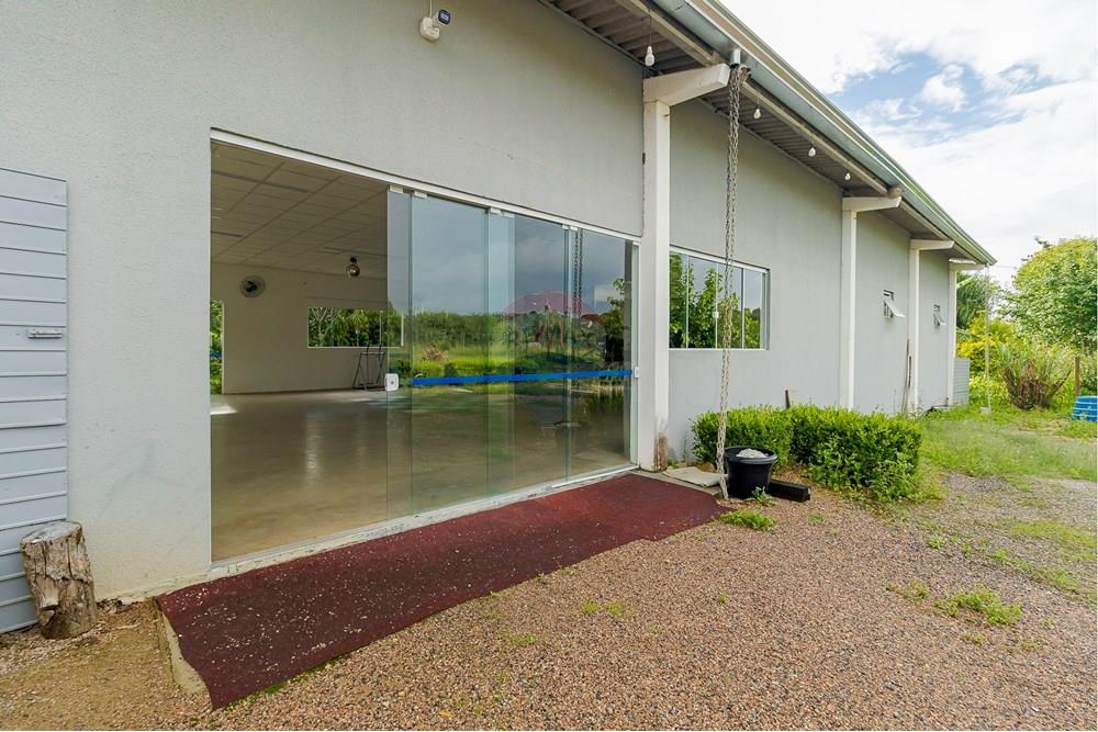 Chácara / Sítio / Fazenda - Alugar - Fazenda Rio Grande , Paraná - IMG_9375.jpg - 560391075-16