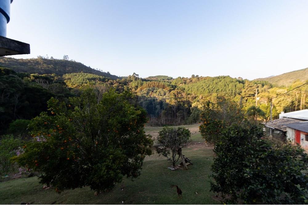 Chácara / Sítio / Fazenda - Venda - Mandirituba , Paraná - IMG_1399.jpg - 560341112-24