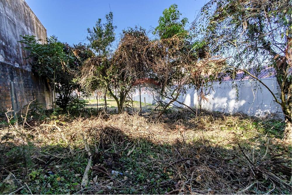 Terreno - Venda - Curitiba , Paraná - IMG_7324_1.jpg - 560341040-20