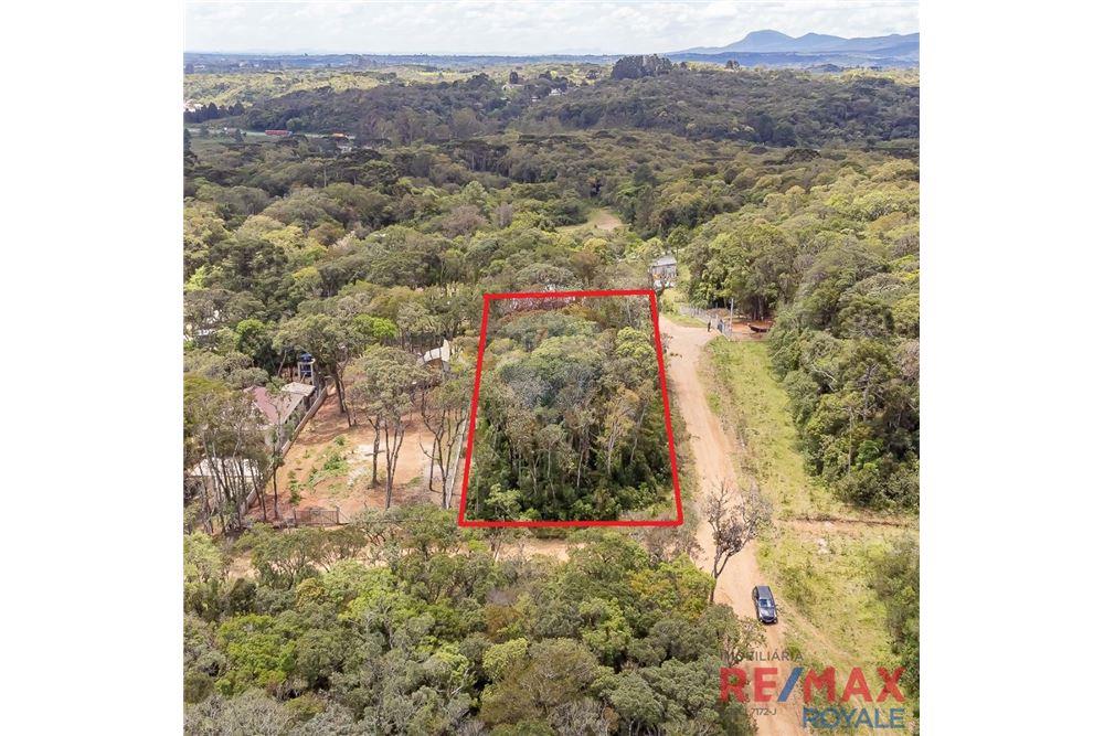 Terreno - Venda - São José dos Pinhais , Paraná - 2 - 560251029-43