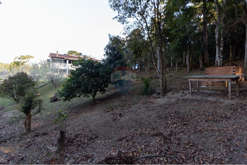 Chácara / Sítio / Fazenda - Venda - Mandirituba , Paraná - IMG_1344.jpg - 560341112-24