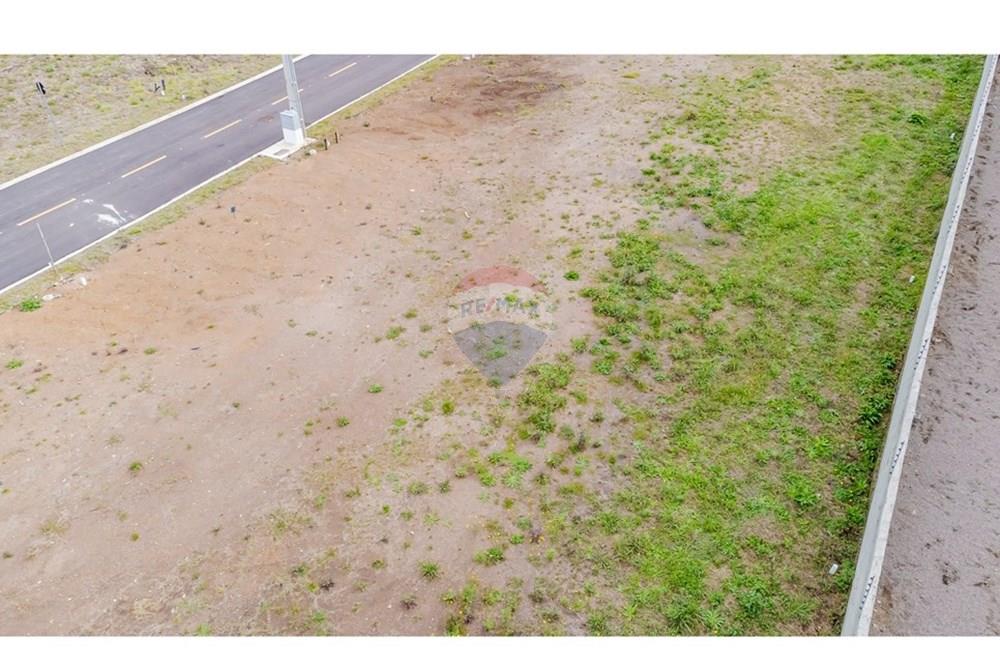 Terreno - Venda - São José dos Pinhais , Paraná - DJI_0331.jpg - 560411070-66