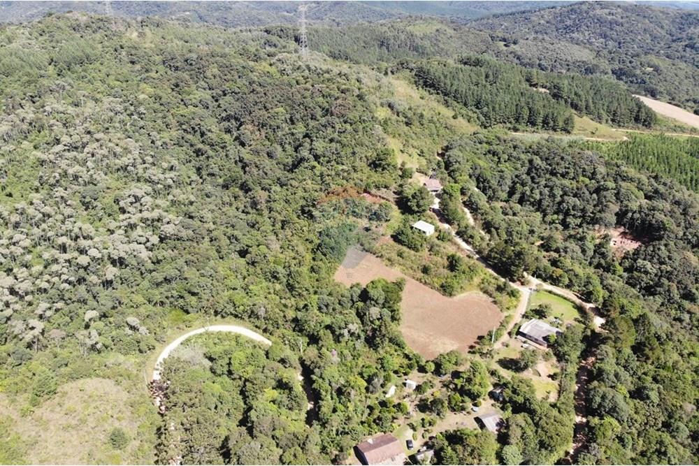 Chácara / Sítio / Fazenda - Venda - Campo Magro , Paraná - WhatsApp Image 2025-04-09 at 19.11.27 (1).jpeg - 560351106-18