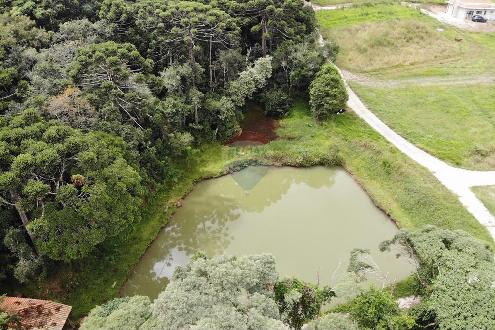 Terreno - Venda - São José dos Pinhais , Paraná - DJI_0601.JPG - 560351069-39