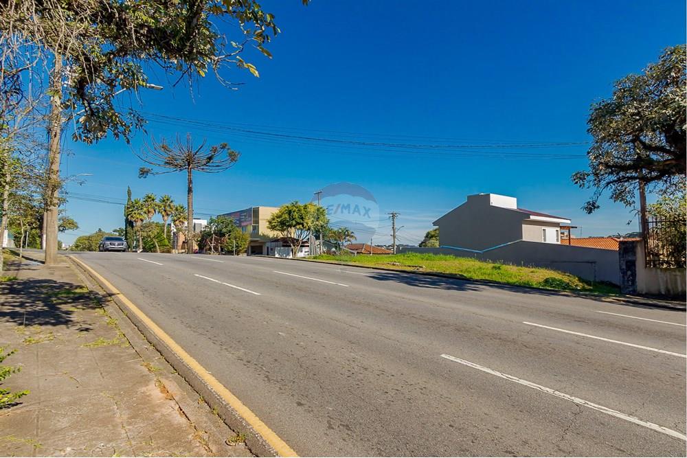 Terreno - Venda - Curitiba , Paraná - IMG_8527.jpg - 560351131-6