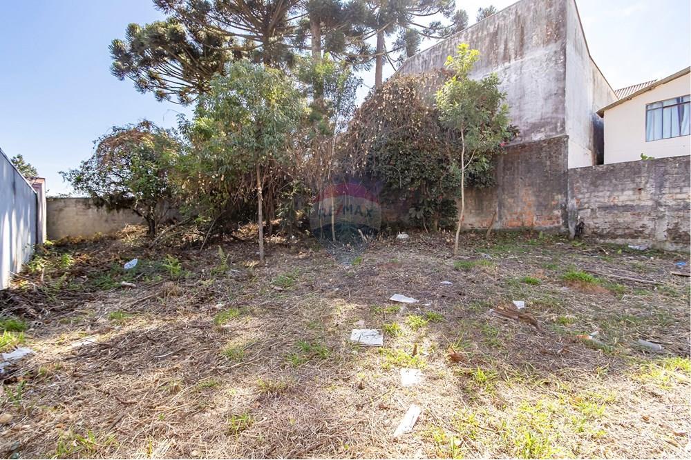 Terreno - Venda - Curitiba , Paraná - IMG_7316_1.jpg - 560341040-20