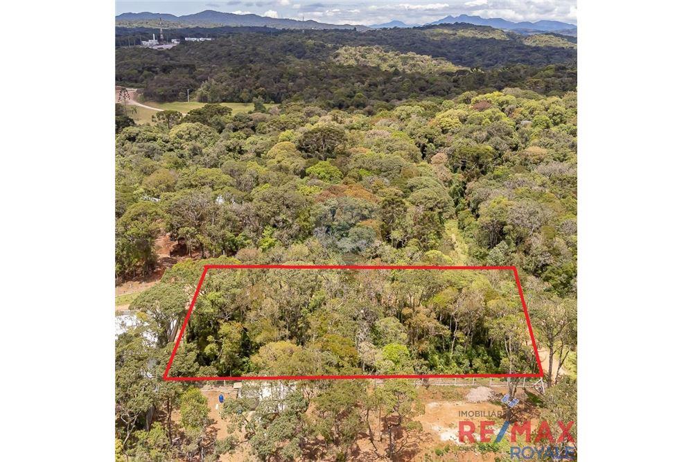 Terreno - Venda - São José dos Pinhais , Paraná - 8 - 560251029-43