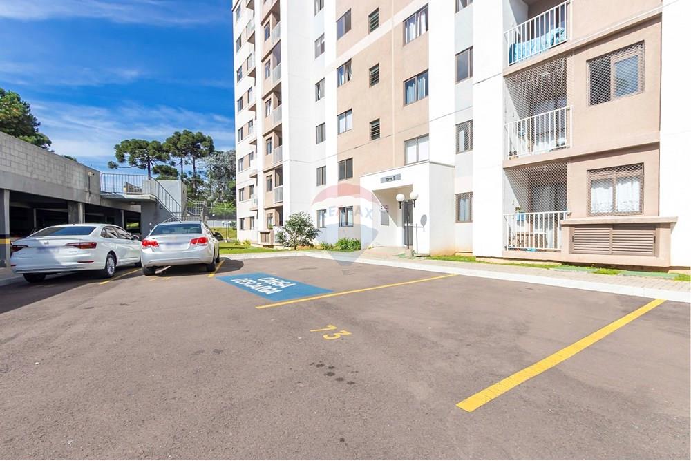 Apartamento - Venda - São José dos Pinhais , Paraná - 290.jpg - 560391055-13